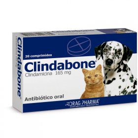 Clindabone