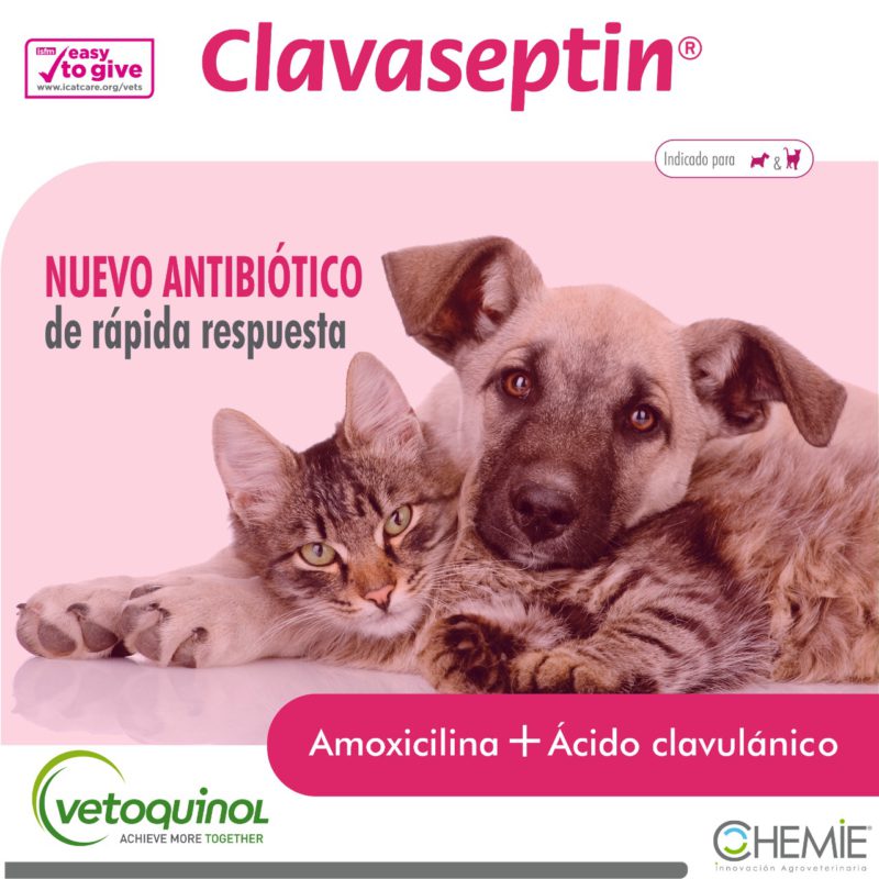 Amoxicilina con acido Clavulanico perros