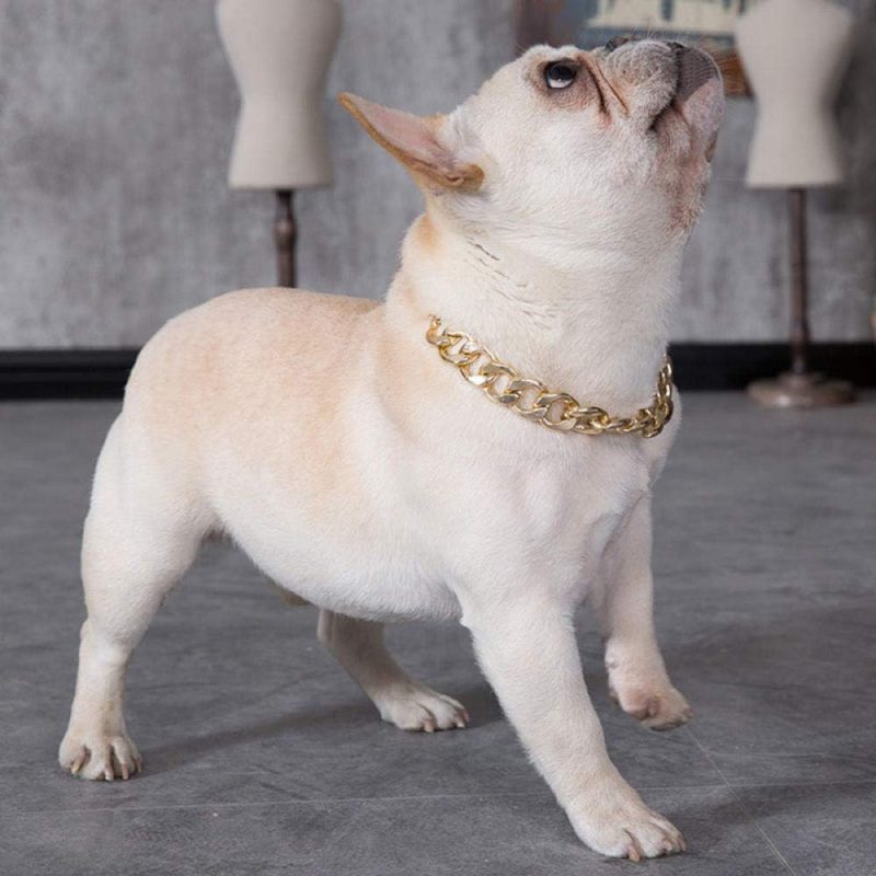 Collar para Perros Cadena Dorada Eslabón Pequeño talla S