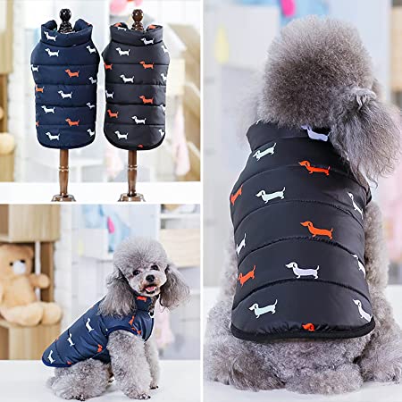 Parka de Perros Diseños