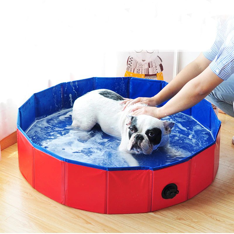 Piscina para Perros Portable Plegable