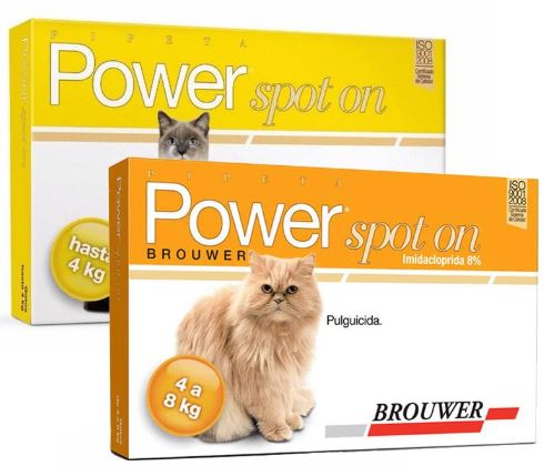 Power Spot on Gatos