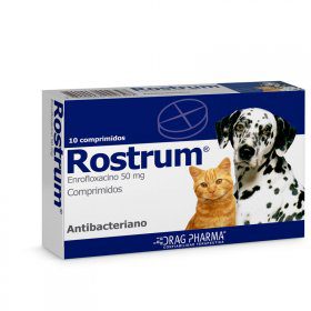 Rostrum