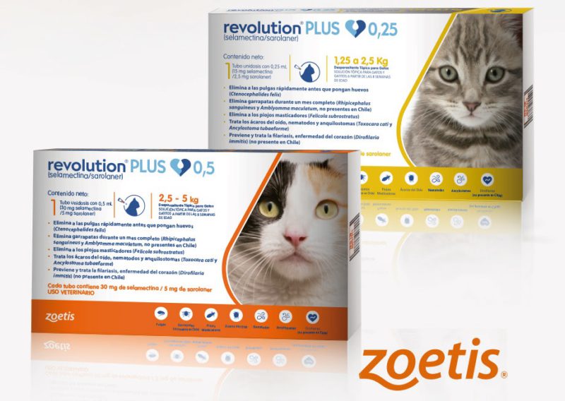 Revolution Plus gatos