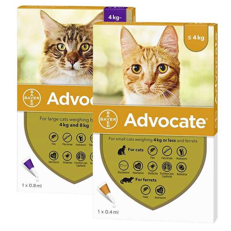 Advocate Gatos