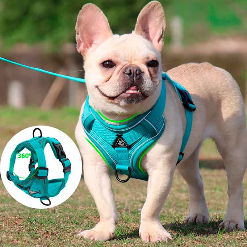 Arnés para Perros Medianos Talla XL