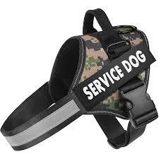 Arnes Service dog de Perro pecho