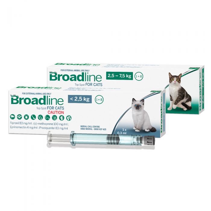 Broadline gatos