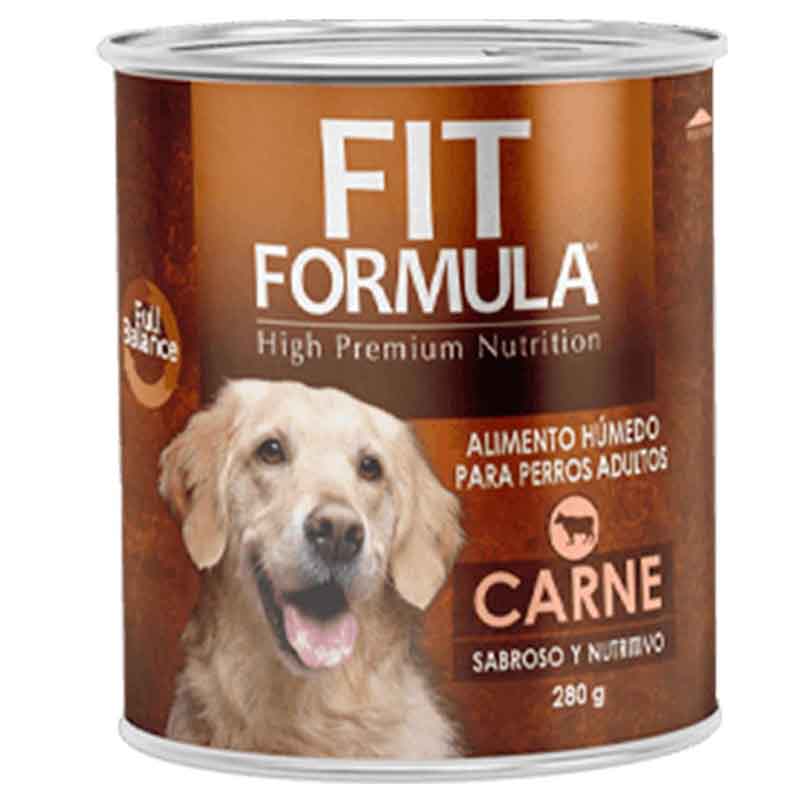 FIT LATA PERRO CARNE