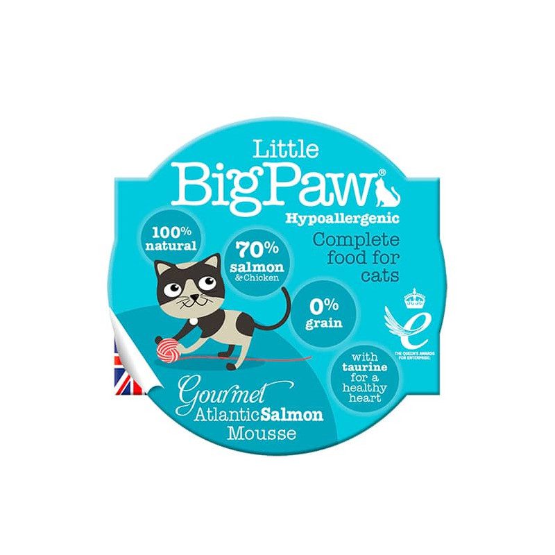 LITTLE BIG PAW GOURMET ATLANTIC SALMON