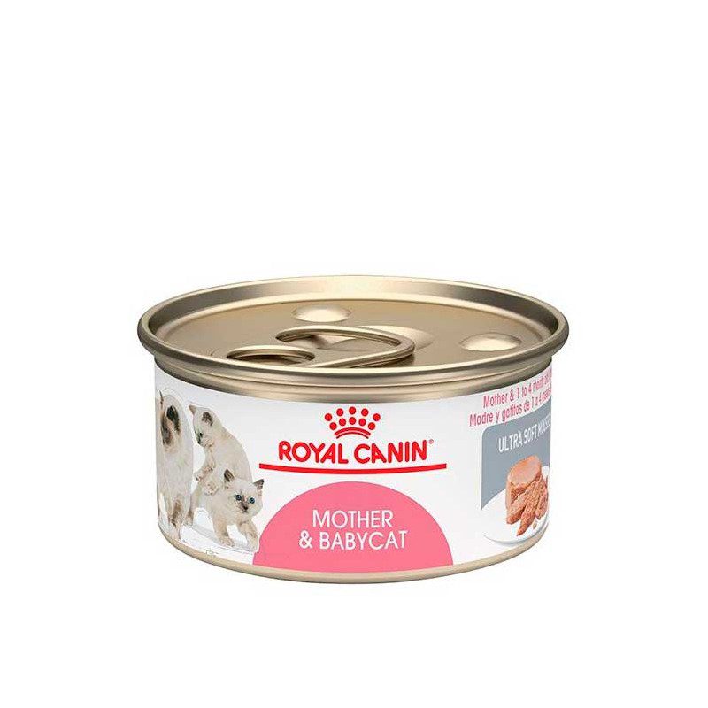 Leche para gatos bebes Royal Canin Mother &amp Babycat Lata