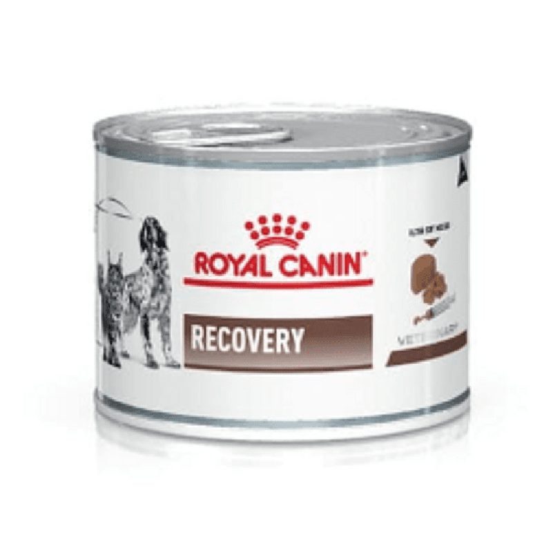 Royal Canin Recovery 145 grs