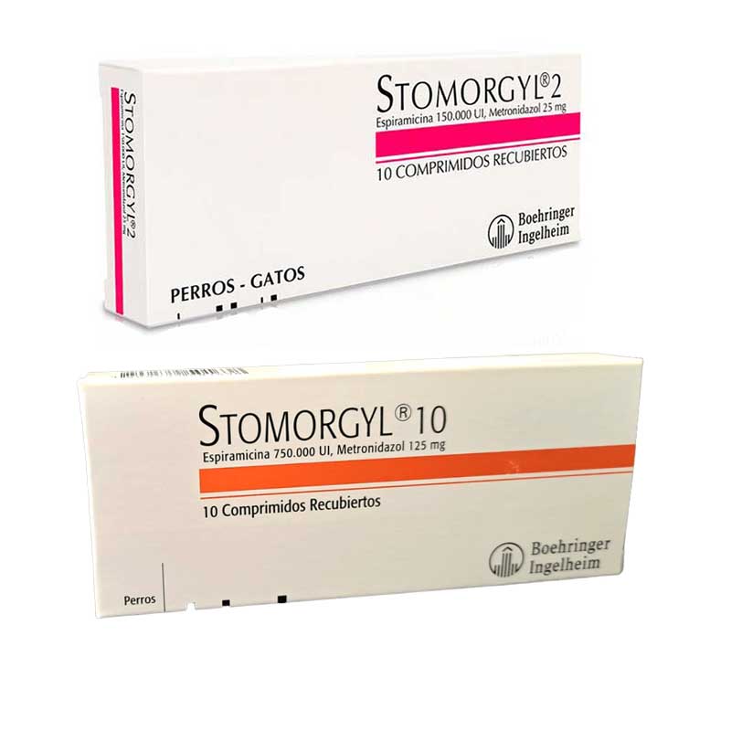 Stomorgyl